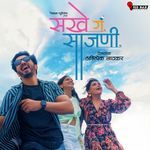 DJ Cha Bass (From Sakhe Ga Saajani) - Single