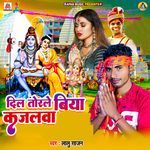 Dil Torle Biya Kajalva