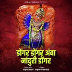 Dongar Dongar Amba Nanduri Dongar