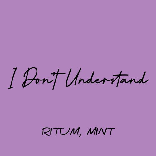 I Don&#039;t Understand_poster_image