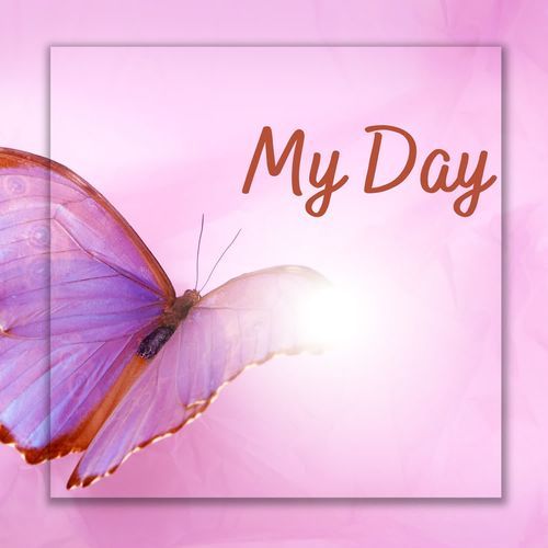 My Day