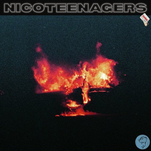 Nicoteenagers_poster_image