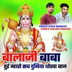 बालाजी बाबा तुई म्हारो सब दुनिया धोखा बाज