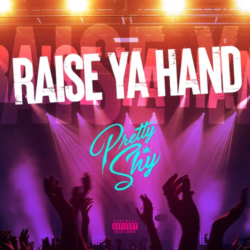 Raise Ya Hand_poster_image