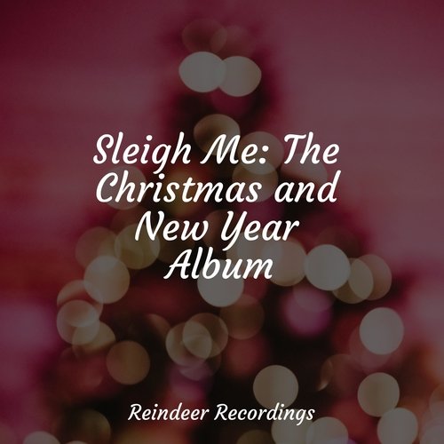 Sleigh Me: The Christmas and New Year Album