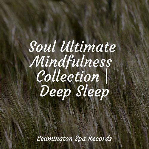Meditating Music cover art