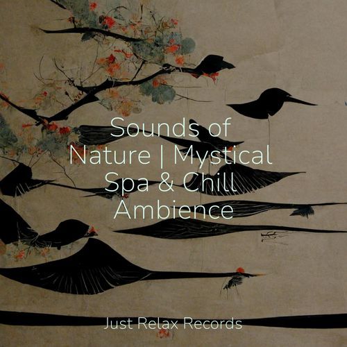 Sounds of Nature | Mystical Spa & Chill Ambience_poster_image