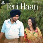 Teri Haan