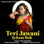 Teri Jawani Iyitam Bub