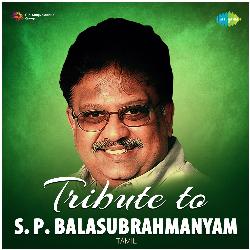 Chippiyerukkuthu (From "Varumayin Niram Sivappu") by S.P. Balasubrahmanyam, S. Janaki