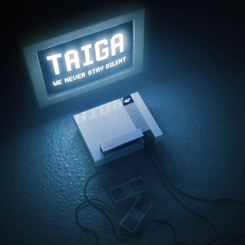 We Never Stay Silent