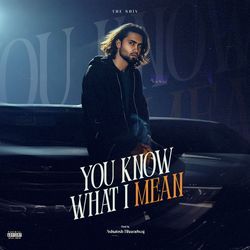 You Know What I Mean