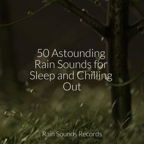 Raindrops Dance on Glass cover art