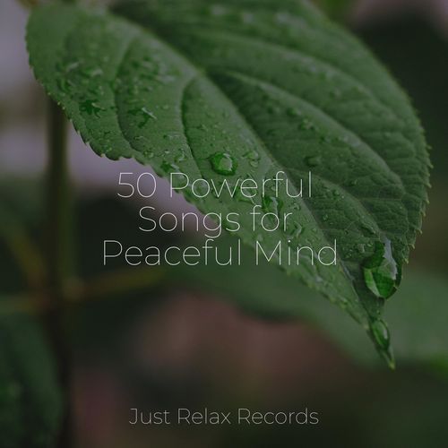 50 Powerful Songs for Peaceful Mind