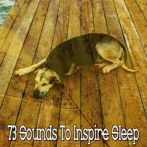 73 Sounds to Inspire Sleep