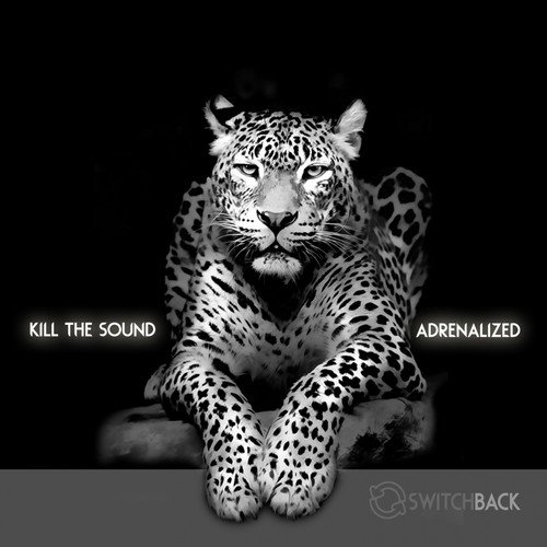 Kill the Sound