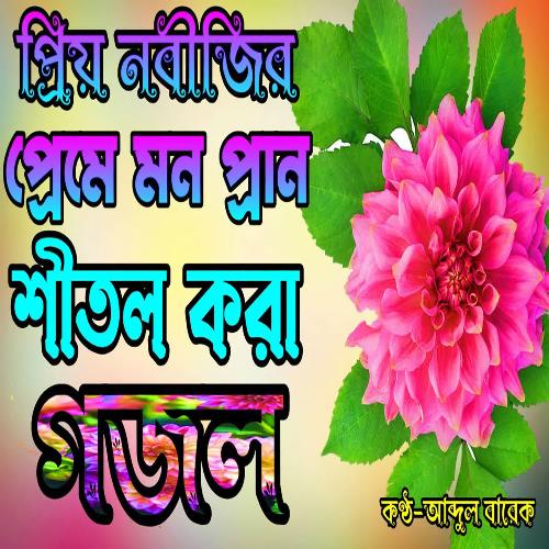 Amar Jibon Vifole Go