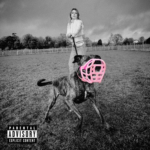 fetch
