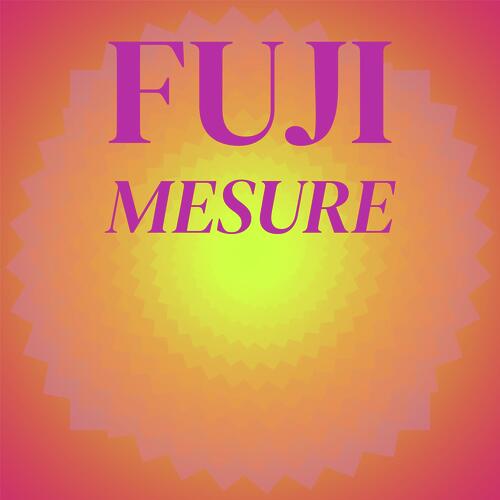 Fuji Mesure