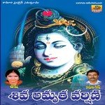 Hima Giri Paina Velasinavvu (Shiva Amrutha Varshini)