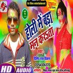 Holi mein bada man karata