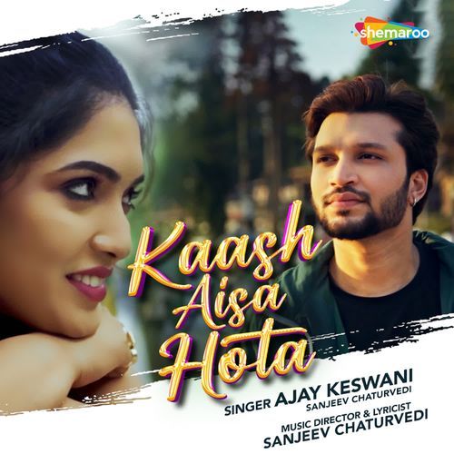 Kaash Aisa Hota_poster_image