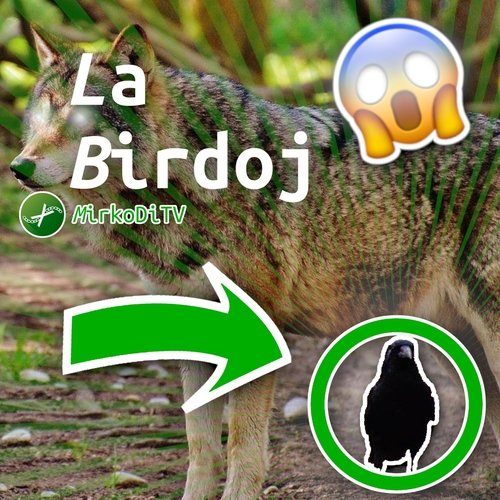 La Birdoj cover art