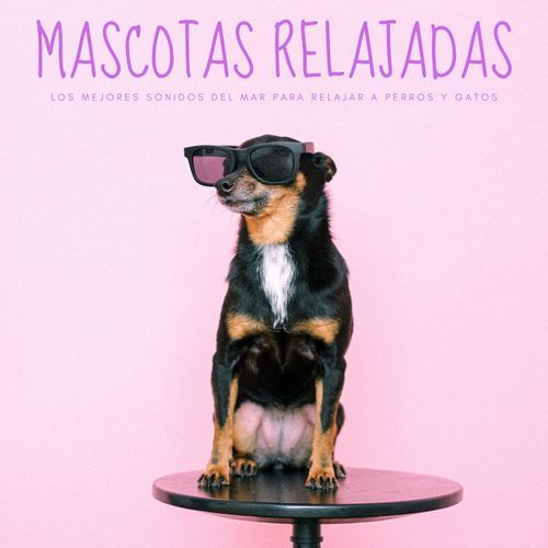 Música Para Perros cover art