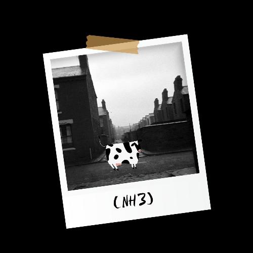 NH3 cover art