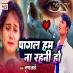 Pagal Ham Na Rahani Ho