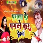 pagala ke pagle kar Delhi