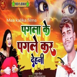 pagala ke pagle kar Delhi