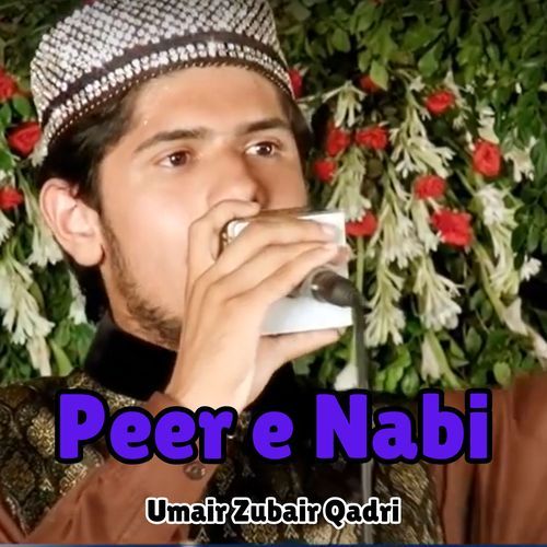 Peer e Nabi