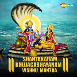 Shantakaram Bhujagashayanam Vishnu Mantra-BAEABBhxYVk