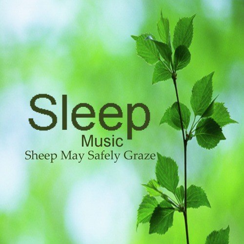 Sleeping Music: Sheep May Safely Graze