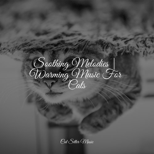 Soothing Melodies | Warming Music For Cats