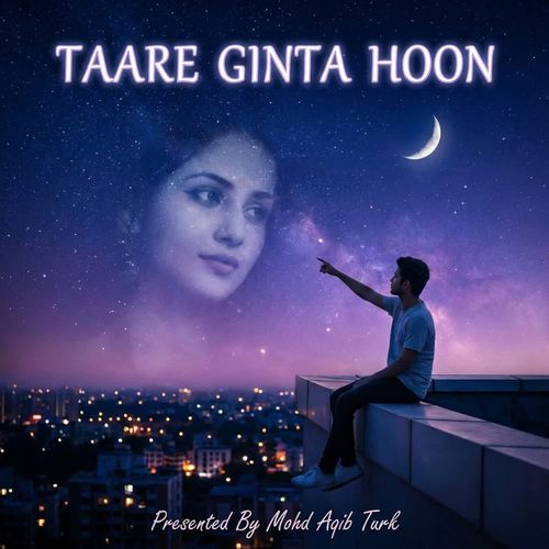Taare Ginta Hoon