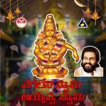 Vegalenu Swamy Ayyappa Swamy