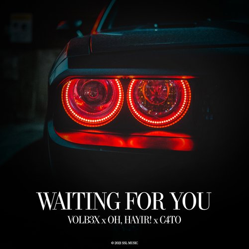 Waiting For You_poster_image