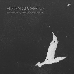 Hidden Orchestra