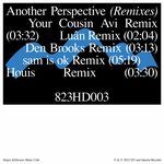 another perspective (Your Cousin Avi Remix)