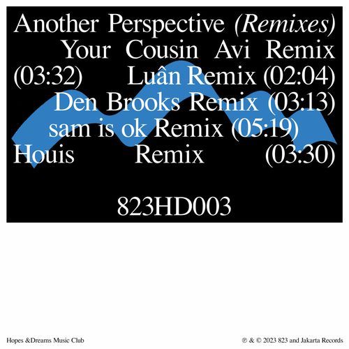another perspective (Remixes)