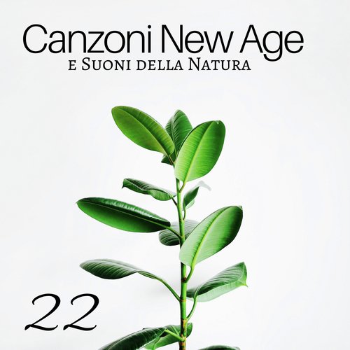Suoni per Dormire cover art