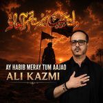 Ay Habib Meray Tum Aajao