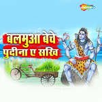 Balamua Beche Pudina Ae Sakhi