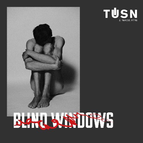 Blind Windows_poster_image