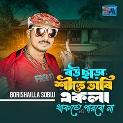 Bou Chara Shite Vabi Akla Thakte Parbo Na