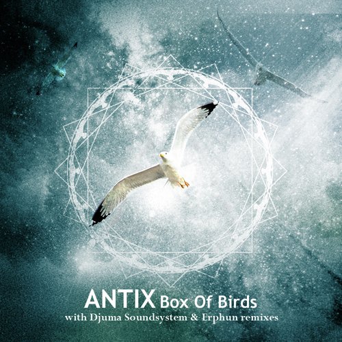 Box of Birds (Erphun "Let The Birds Free Dub") cover art