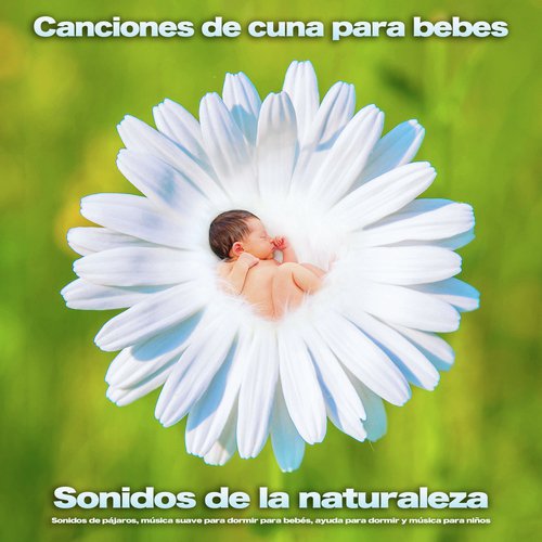 Música para niños cover art