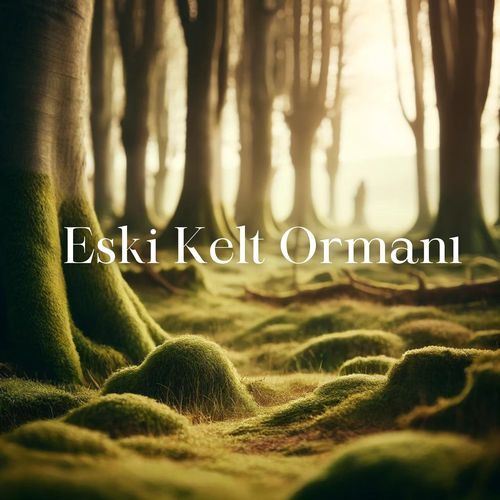 Eski Kelt Ormanı_poster_image